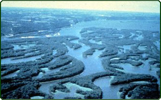 backwater (photo)