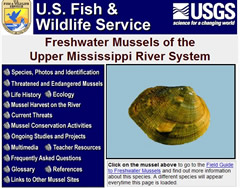 Freshwater Mussels of the Upper Mississippi River System