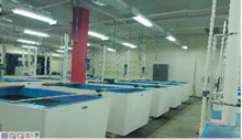 Fish Culture