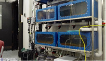 Invasive Lab