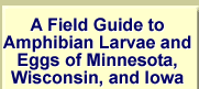 Field Guide