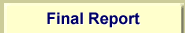 Final Report