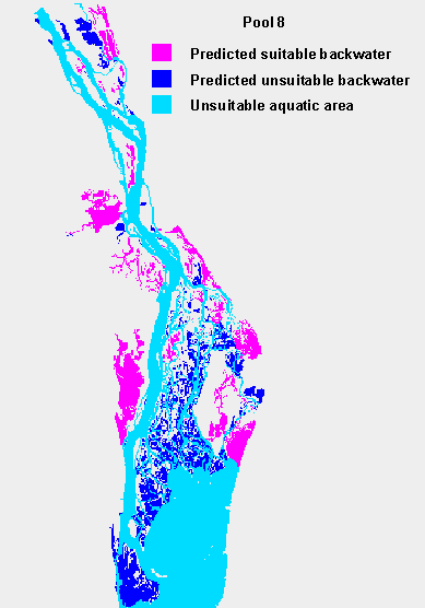 Suitable backwater over-wintering habitat (map)