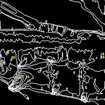 contour map