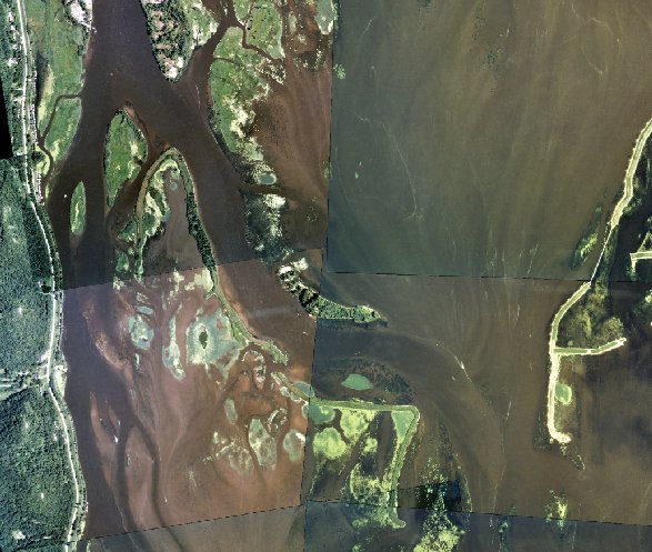 Horseshoe Island  - 1999 aerial photo