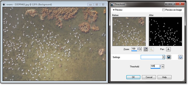 Example of thresholding to separate waterfowl pixels from the background.