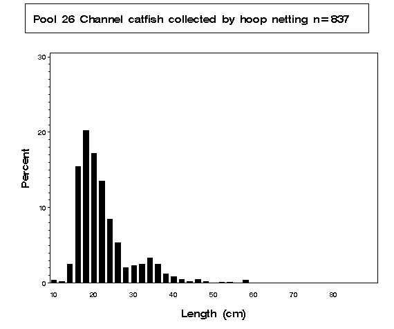 Pool 26 Channel catfish collected by hoop netting