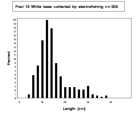 White bass collected by electrofishing