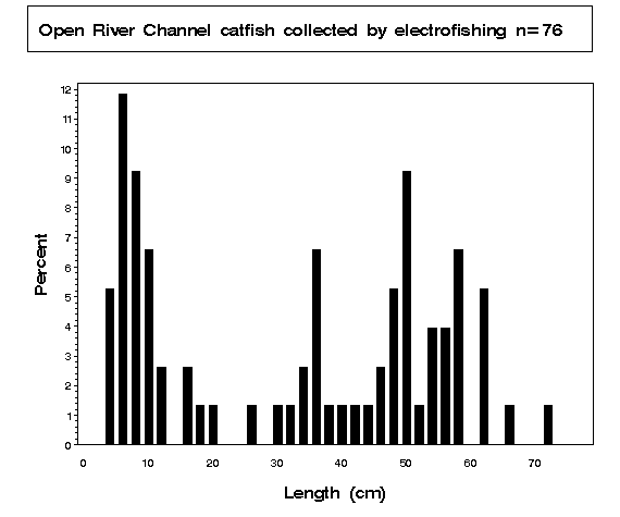 Open River Channel catfish collected by electrofishing