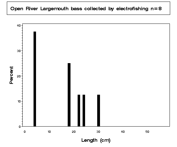 Open River Largemouth bass collected by electrofishing