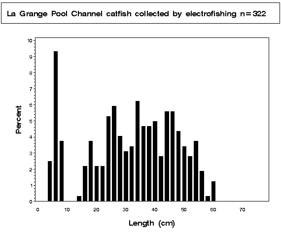 Channel catfish collected by electrofishing