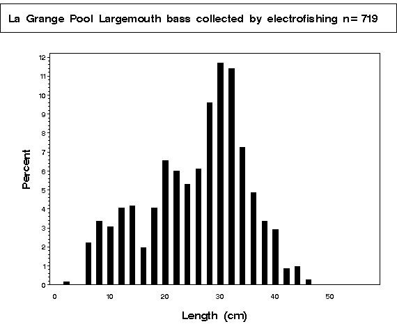 La Grange Pool Largemouth bass collected by electrofishing