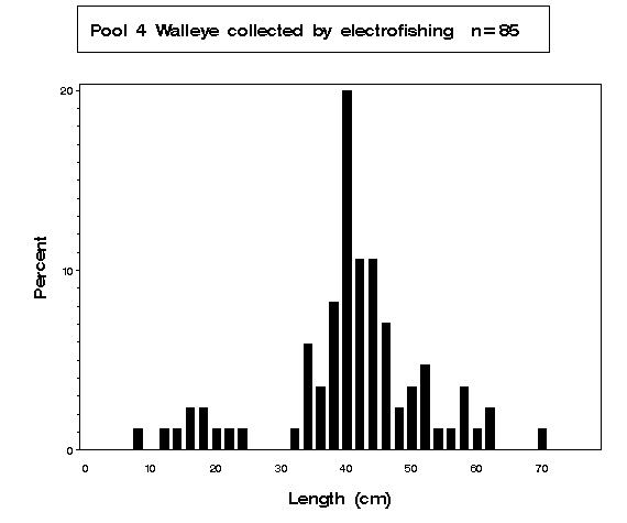 Pool 4 Walleye collected by electrofishing