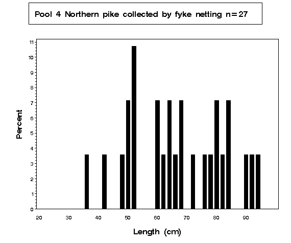 Northern pike collected by fyke netting 
