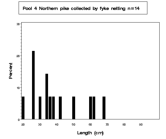 Pool 4 Northern pike collected by fyke netting 