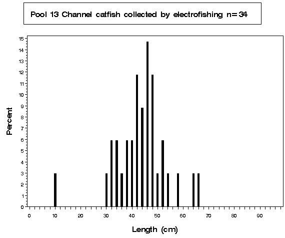 Pool 13 Channel catfish collected by electrofishing