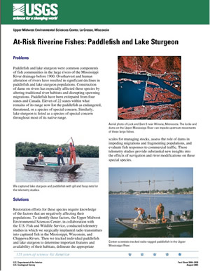 At-Risk Riverine Fishes: Paddlefish and Lake Sturgeon