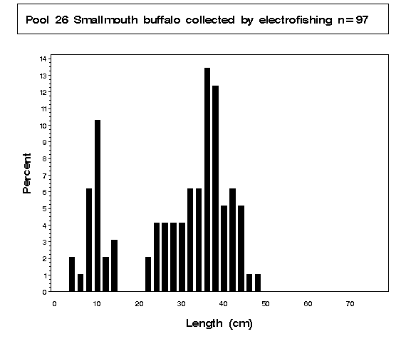 Smallmouth buffalo collected by electrofishing