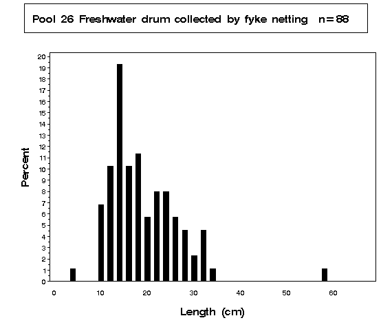 Freshwater drum collected by fyke netting