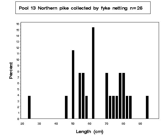 Pool 13 Northern pike collected by fyke netting 