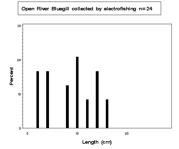 Open River Bluegill collected by electrofishing