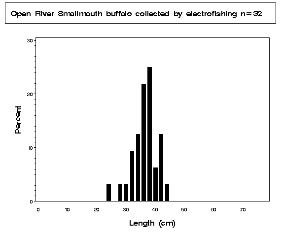 Open River Smallmouth buffalo collected by electrofishing