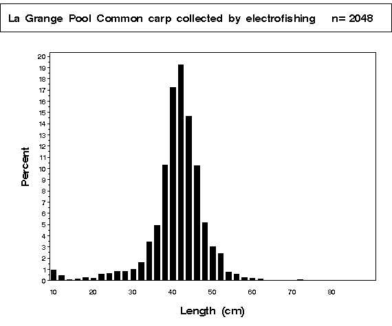 La Grange Pool Common carp collected by electrofishing