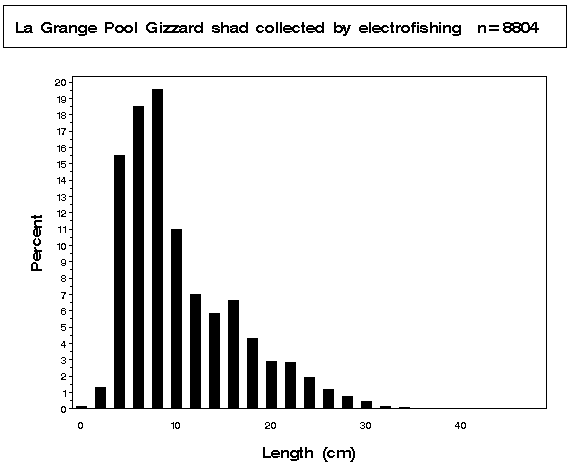 La Grange Pool Gizzard shad collected by electrofishing