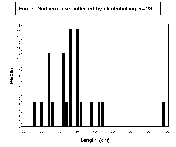 Northern pike collected by electrofishing