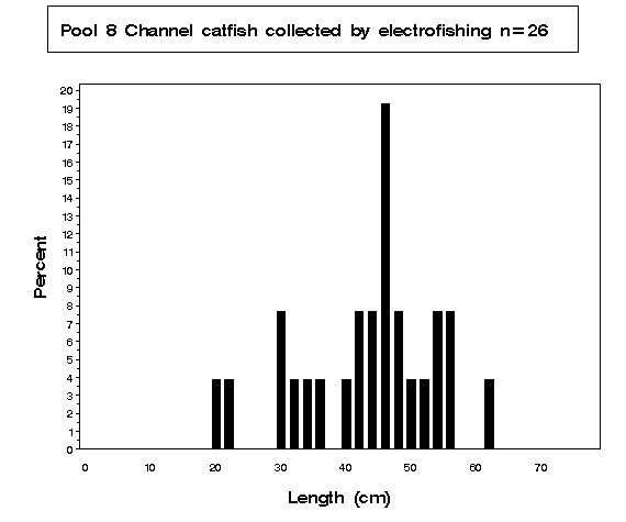 Pool 8 Channel catfish collected by electrofishing