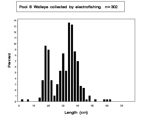 Pool 8 Walleye collected by electrofishing