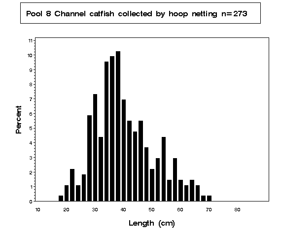 Pool 8 Channel catfish collected by hoop netting
