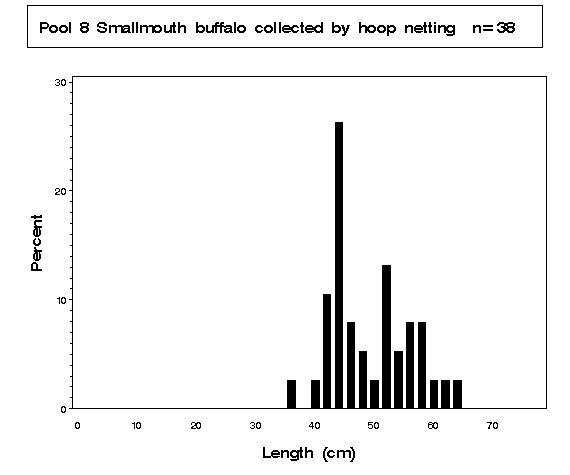 Smallmouth buffalo collected by hoop netting