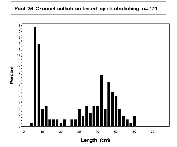 Pool 26 Channel catfish collected by electrofishing