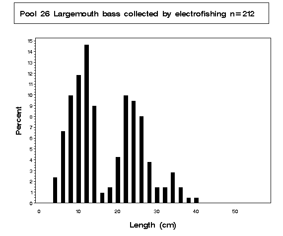 Largemouth bass collected by electrofishing