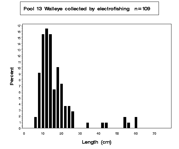 Pool 13 Walleye collected by electrofishing