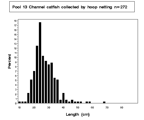 Pool 13 Channel catfish collected by hoop netting