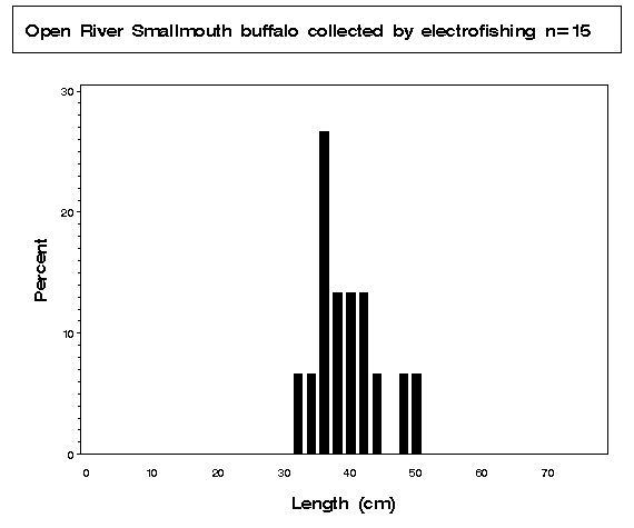 Open River Smallmouth buffalo collected by electrofishing