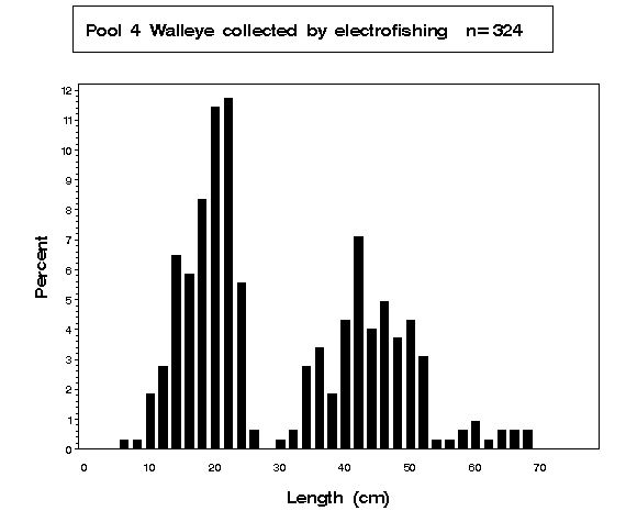 Pool 4 Walleye collected by electrofishing