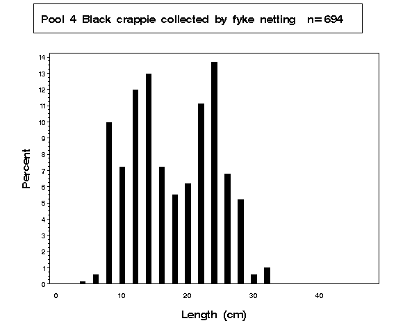 Black crappie collected by fyke netting