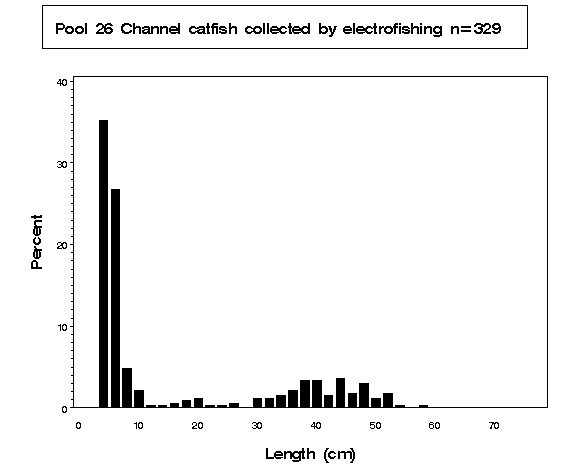 Channel catfish collected by electrofishing