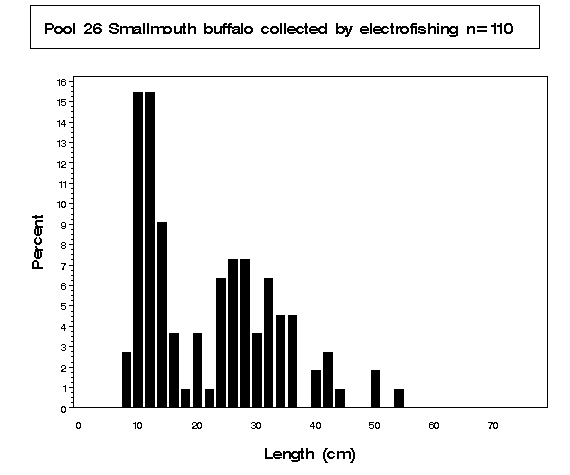 Smallmouth buffalo collected by electrofishing