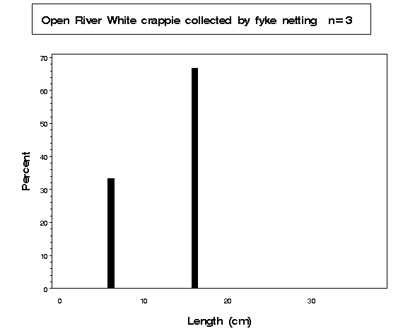 White crappie collected by fyke netting