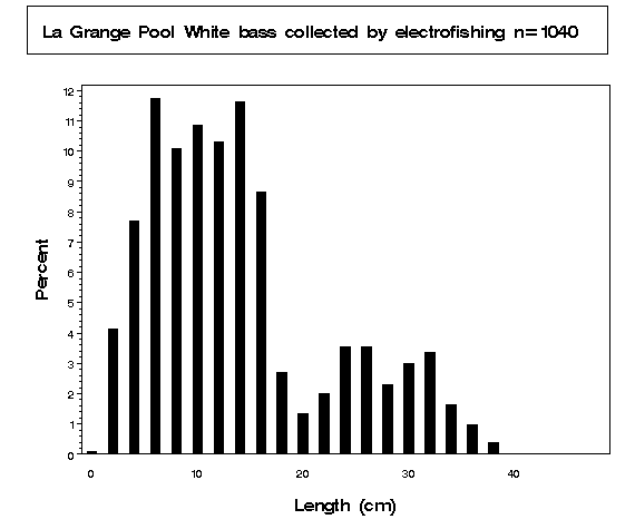 La Grange Pool White bass collected by electrofishing
