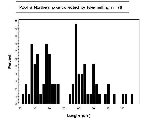 Pool 8 Northern pike collected by fyke netting 