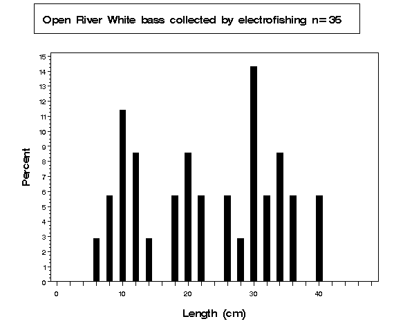 Open River White bass collected by electrofishing