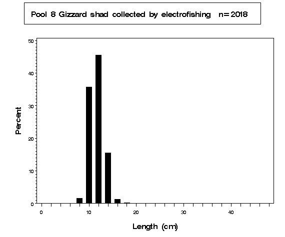 Pool 8 Gizzard shad collected by electrofishing
