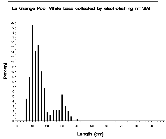 La Grange Pool White bass collected by electrofishing