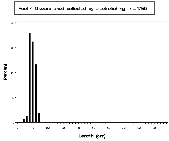 Pool 4 Gizzard shad collected by electrofishing