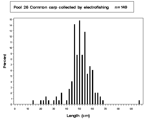 Pool 26 Common carp collected by electrofishing